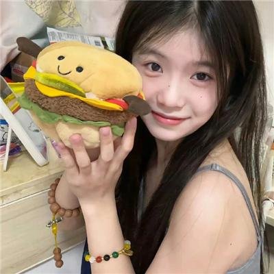 妙警贼探第六季